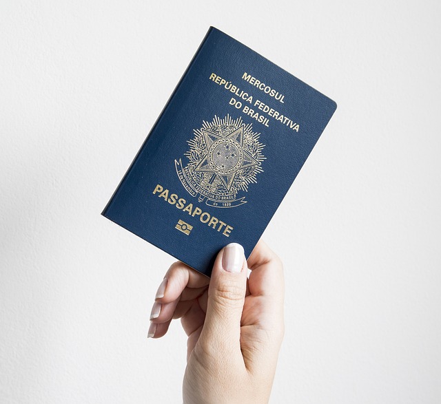 Beyond Borders: The Soulful Journey of Family-Based Immigration in California