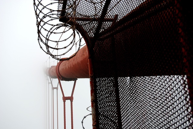 Understanding Employment-Based Adjustment of Status Categories