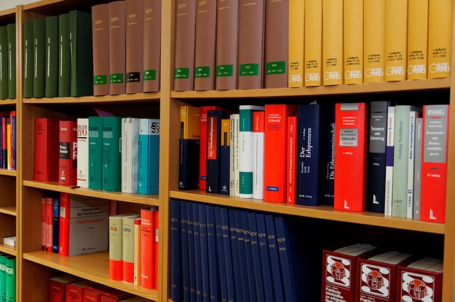 Understanding the U-1 Visa for Victims of Crime